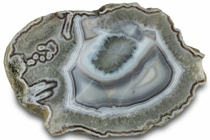 Polished Banded Agate Nodule Section - Agouim, Morocco #314752